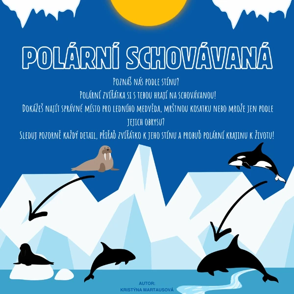 Polární schovávaná - Kdo kam patří?