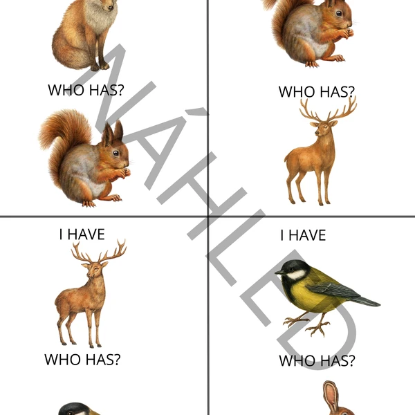 I have - Who has? forest animals