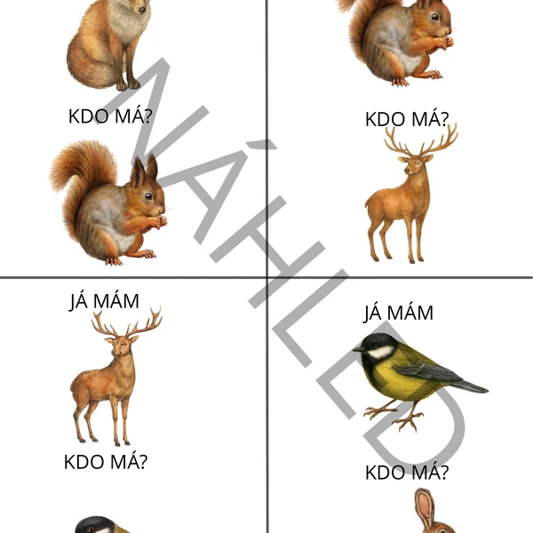 Já mám - Kdo má? Lesní zvířátka