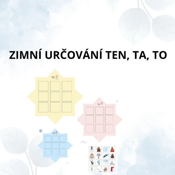 Zimní určování ten, ta, to, rozlišování rodů podstatných jmen 
