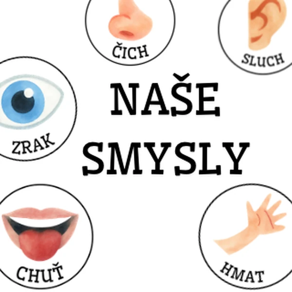 Poznáváme naše smysly