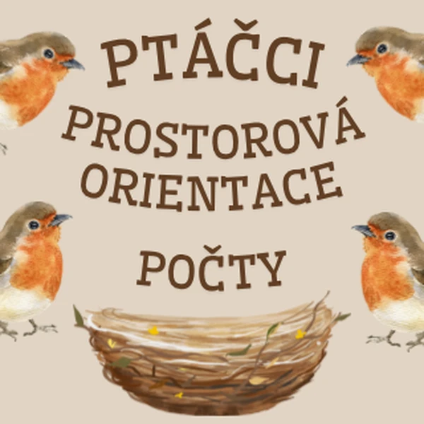 Ptáčci - prostorová orientace, počty
