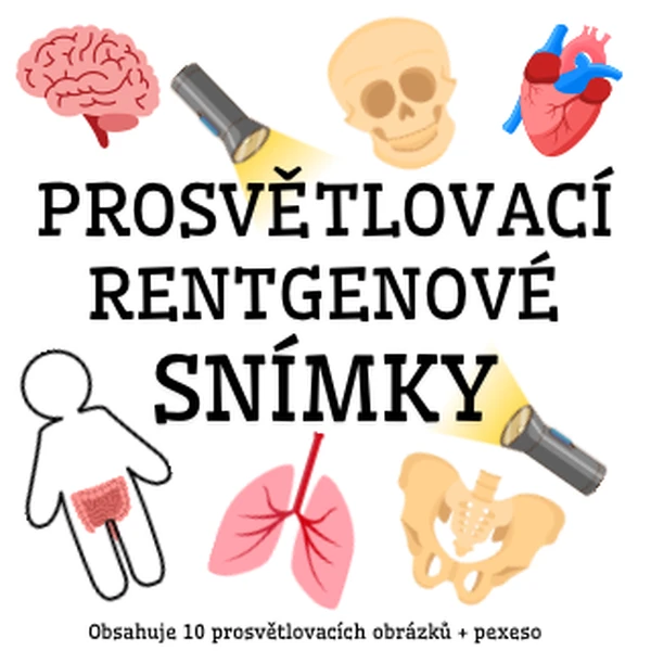 Prosvětlovací obrázky - orgány a kosti