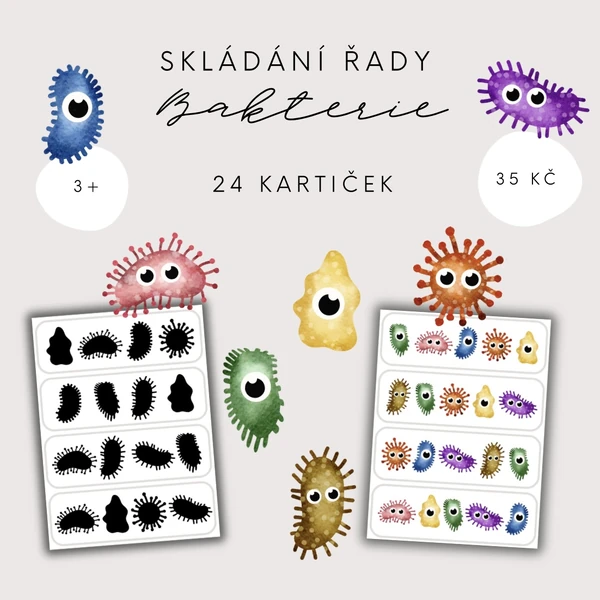 Bakterie - skládání řady podle předlohy