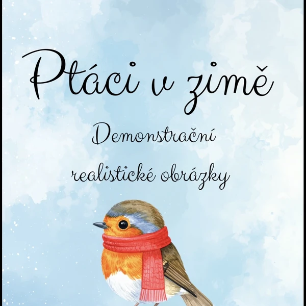 Ptáci v zimě 🐦‍⬛