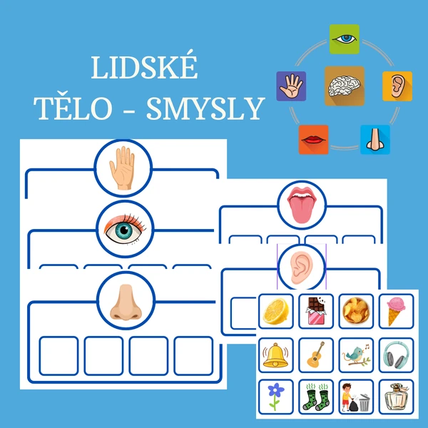 Lidské tělo - smysly