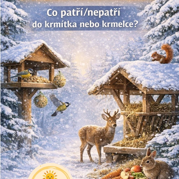 Prosvětlovačka - Co patří/nepatří do krmítka nebo krmelce?
