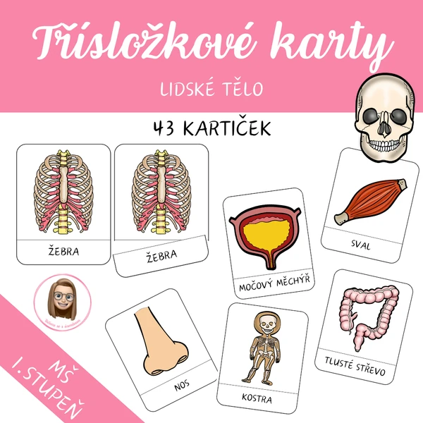 LIDSKÉ TĚLO - třísložkové karty