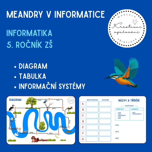 Meandry v informatice
