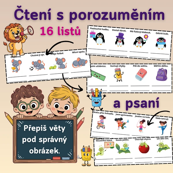 Čtení s porozuměním, psaní, přepis vět