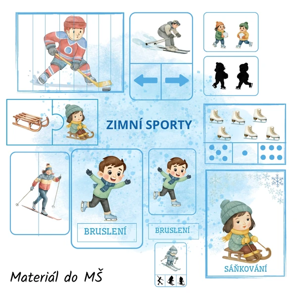Zimní sporty