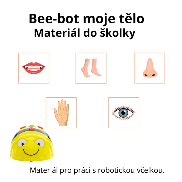 Bee-bot lidské tělo 🦶👀
