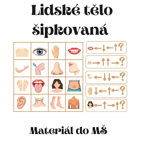 Lidské tělo šipkovaná 🦶🤚