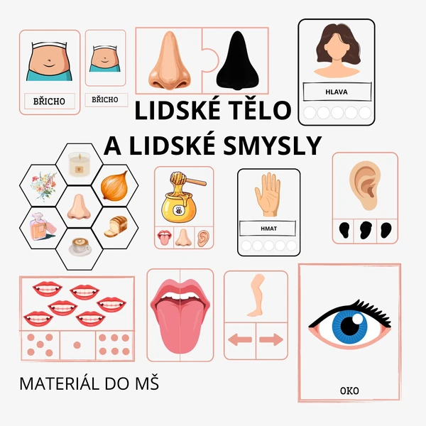 Lidské tělo a smysly 👂👄