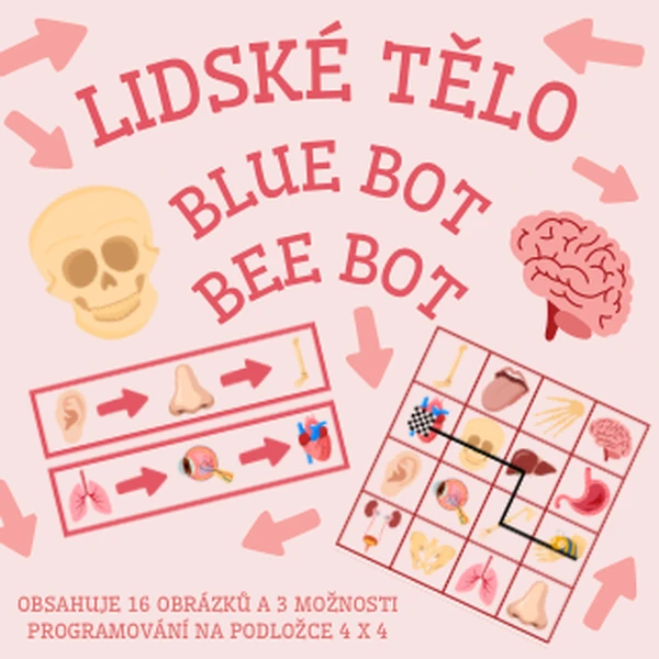Lidské tělo - bee bot, blue bot