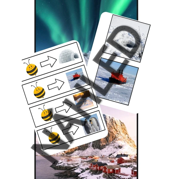 Bee-Bot Severní pól