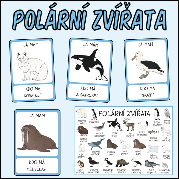 Já mám, kdo má? - Polární zvířata