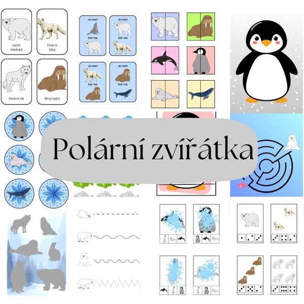 Polární zvířátka