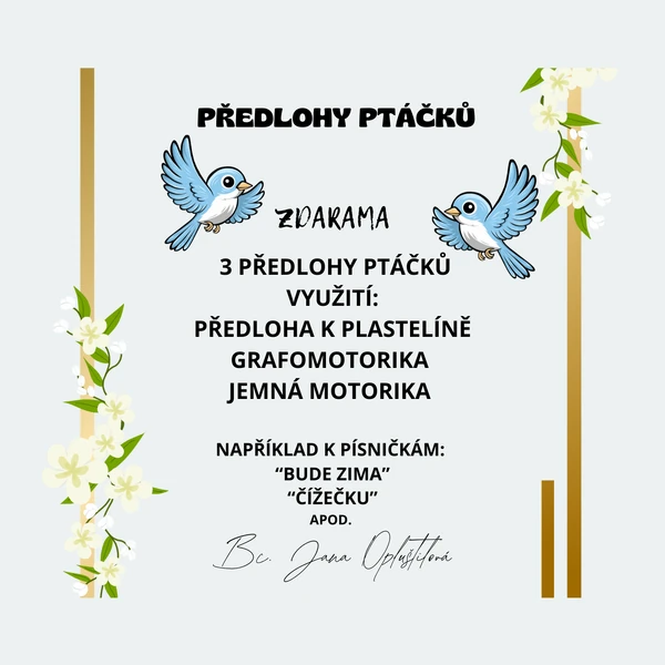 Předlohy - ptáčci/ptáci