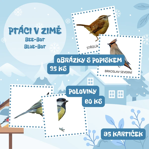 PTÁCI V ZIMĚ - Bee-Bot / Blue-Bot