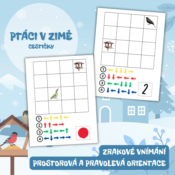 PTÁCI V ZIMĚ - cestičky