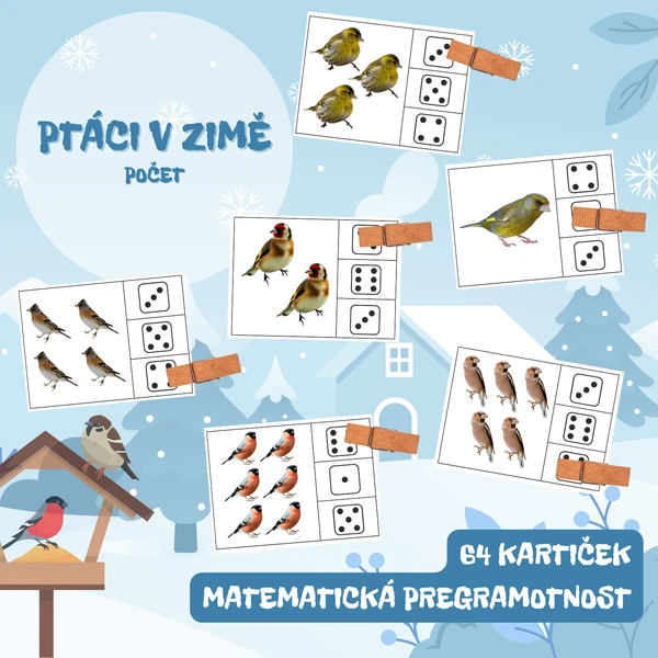 PTÁCI V ZIMĚ - počet