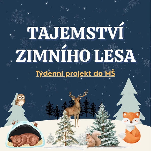 Tajemství zimního lesa