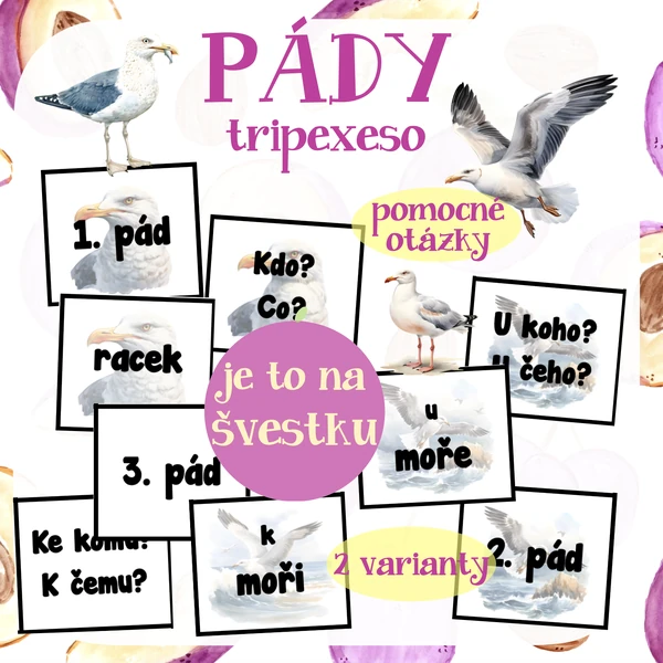 Pád u podstatných jmen - tripexeso