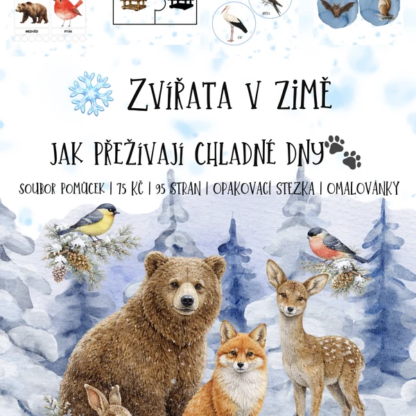 🐾❄️ Zvířata v zimě – jak přežívají chladné dny