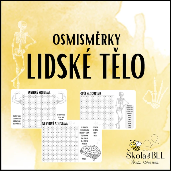 Lidské tělo - osmisměrky