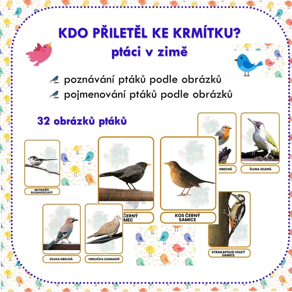 KDO PŘILETĚL KE KRMÍTKU? (PTÁCI V ZIMĚ)