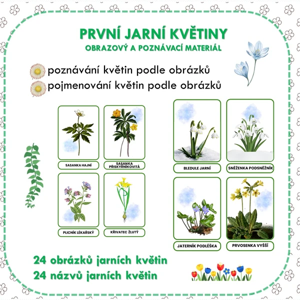 PRVNÍ JARNÍ KVĚTINY OBRAZOVÝ A POZNÁVACÍ MATERIÁL 