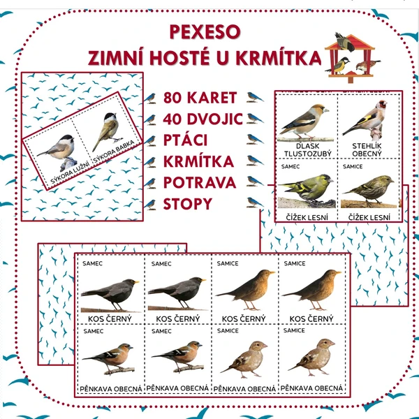 ZIMNÍ HOSTÉ U KRMÍTKA - pexeso