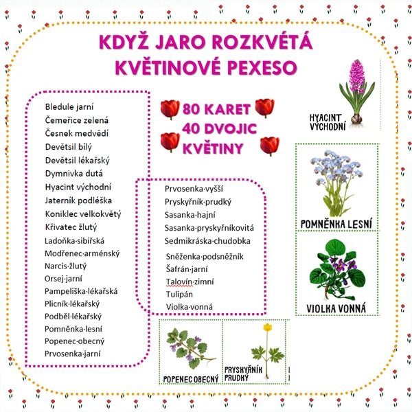KDYŽ JARO ROZKVÉTÁ – KVĚTINOVÉ PEXESO