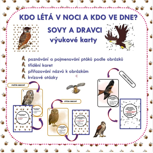 KDO LÉTÁ V NOCI A KDO VE DNE? DRAVCI A SOVY – výukové karty