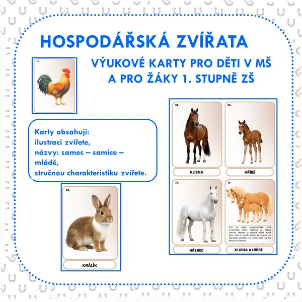 HOSPODÁŘSKÁ ZVÍŘATA (výukové karty)