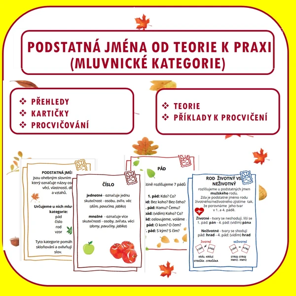 PODSTATNÁ JMÉNA OD TEORIE K PRAXI - PŘEHLEDY, KARTIČKY A PROCVIČOVÁNÍ