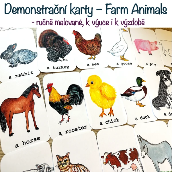 Demonstrační karty - Farm Animals (ručně malované)