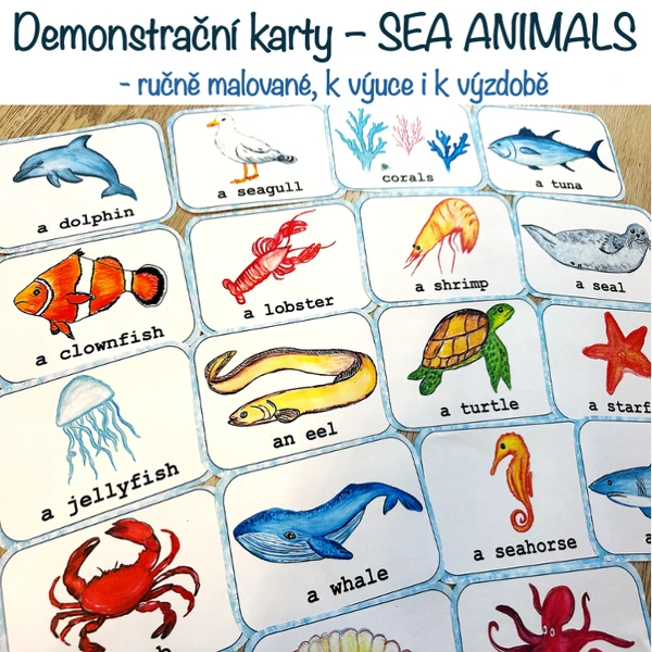 Demonstrační karty - SEA ANIMALS 
