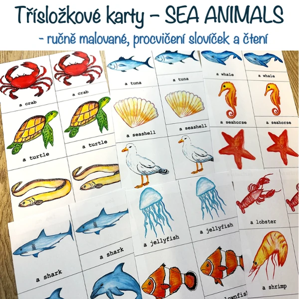 Třísložkové karty SEA ANIMALS