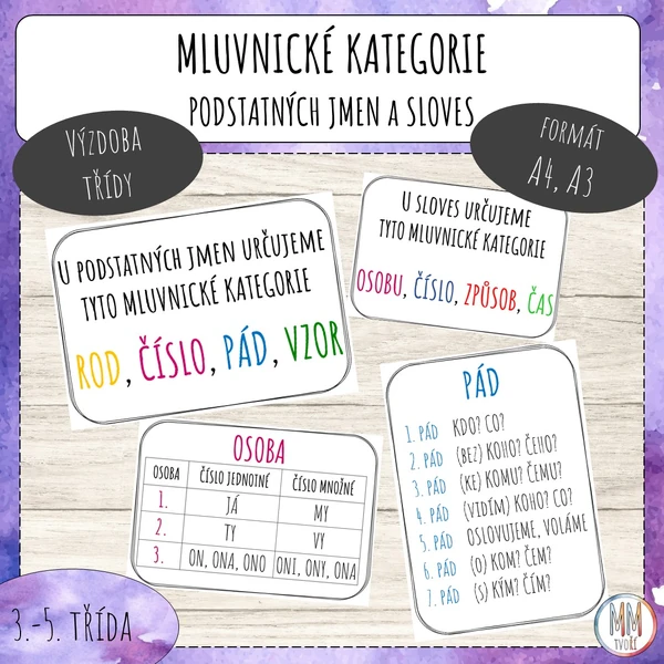 Mluvnické kategorie podstatných jmen a sloves