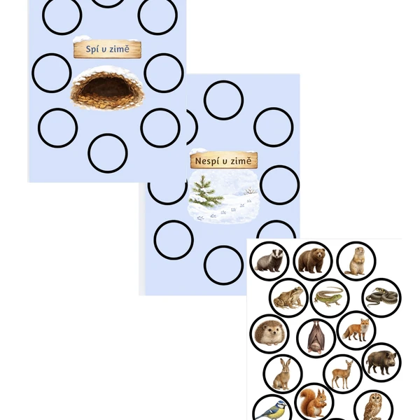 Kdo v zimě spí?