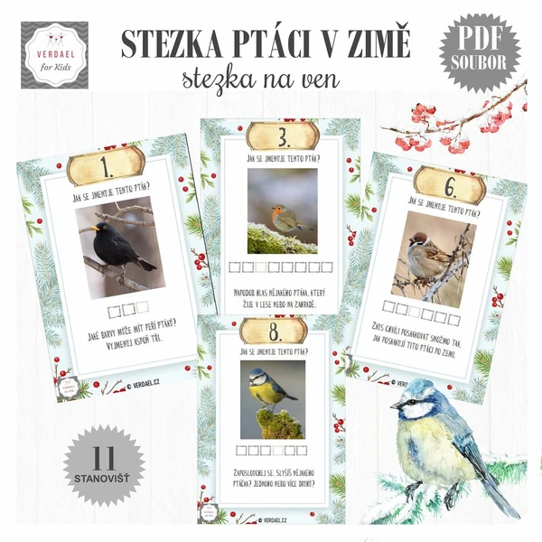 STEZKA PTÁCI V ZIMĚ - POZNÁVAČKA