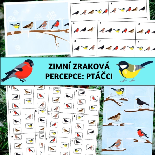 Zimní zraková percepce: Ptáčci