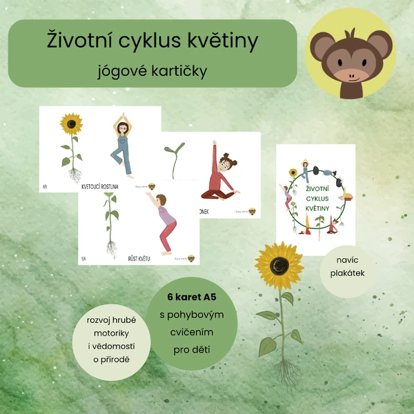 Životní cyklus květiny - jógové kartičky 