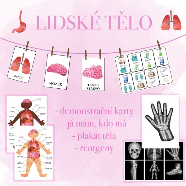 Lidské tělo