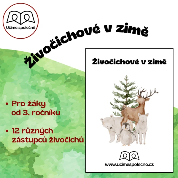 Živočichové v zimě