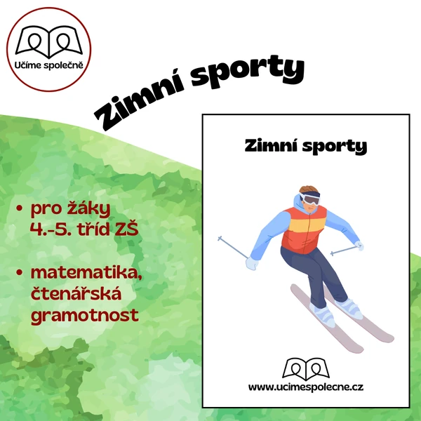 Zimní sporty