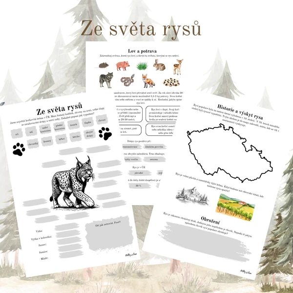 Ze světa rysů