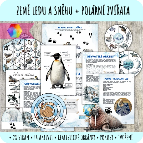 Polární zvířata – země ledu a sněhu